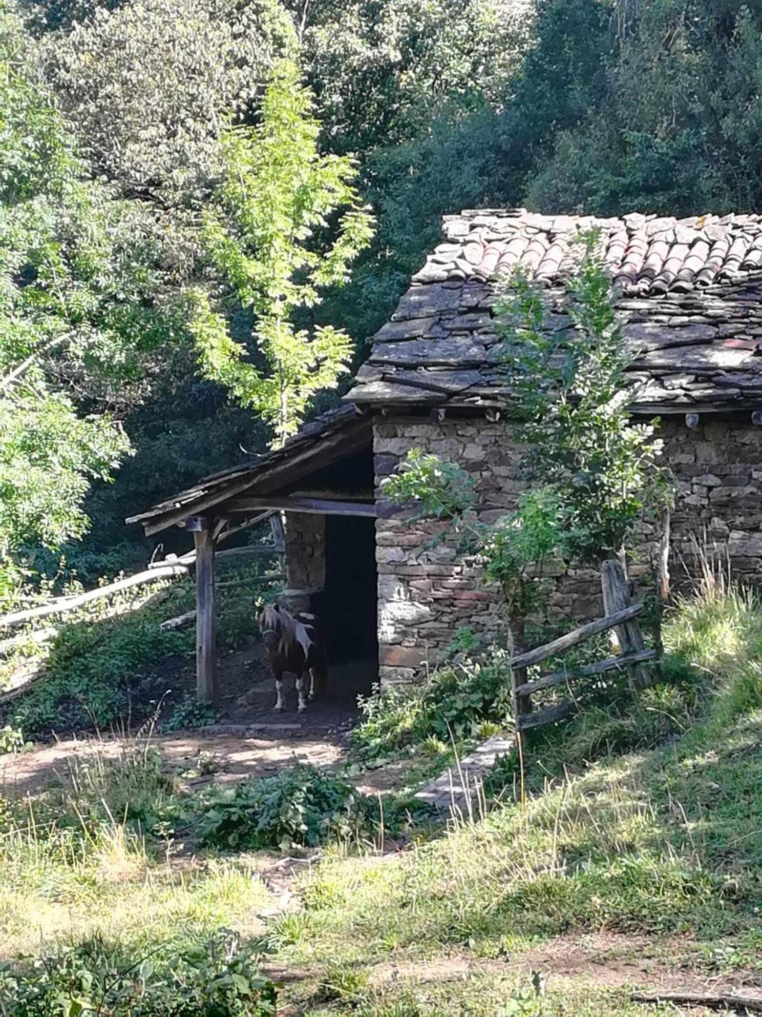 Encanto Asturiano Aller エクステリア 写真