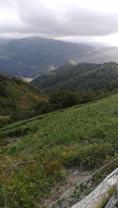 Encanto Asturiano Aller エクステリア 写真