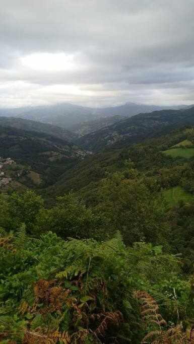 Encanto Asturiano Aller エクステリア 写真