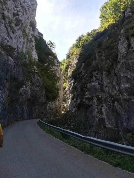 Encanto Asturiano Aller エクステリア 写真
